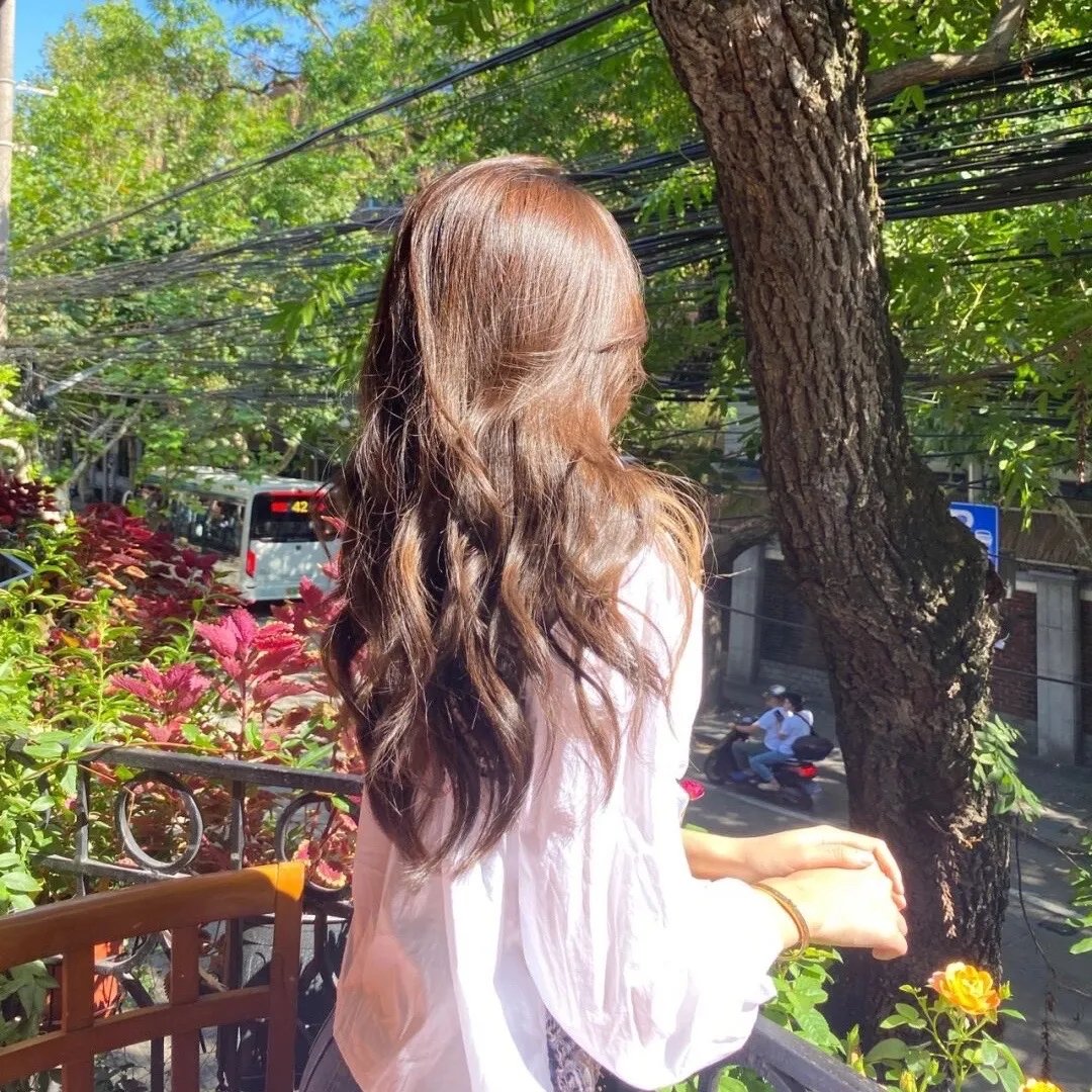 冰原小恐龙
